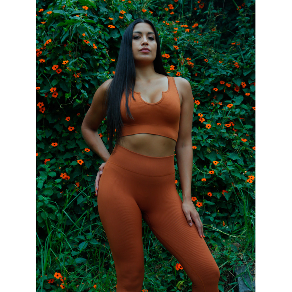 CONJUNTO DEPORTIVO TERRACOTA